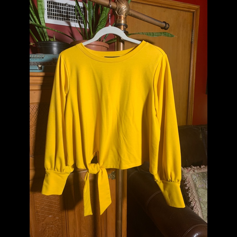 Eloquii Tie Front, Puff Sleeve Sweatshirt